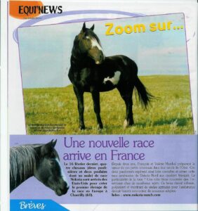 Cheval Junior Article de la revue "Cheval Junior" annonçant l'arrivée d'une nouvelle race en France