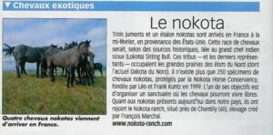 Cheval Pratique Article de la revue "Cheval Pratique" annonçant l'arrivée du Nokota au Nokota-Ranch