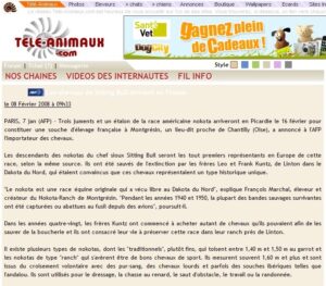 Tele-Animaux Article du site Tele-animaux.com annonçant l'arrivée des Nokota en France