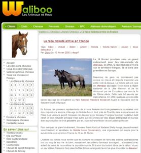 Waliboo Article du 13 février 2008 du site Waliboo.com annonçant l'arrivée de la race Nokota en France